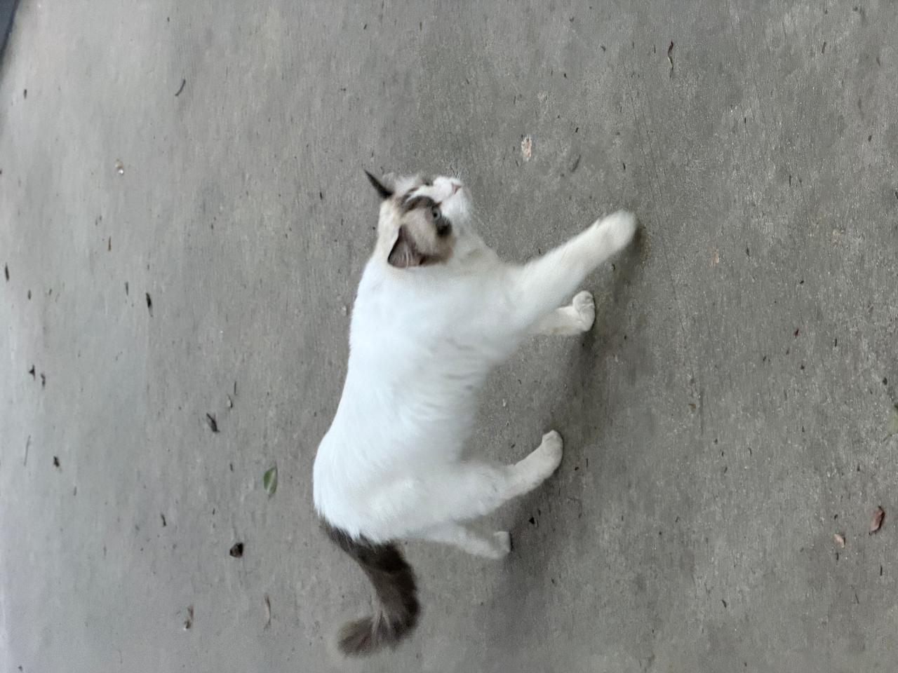 #