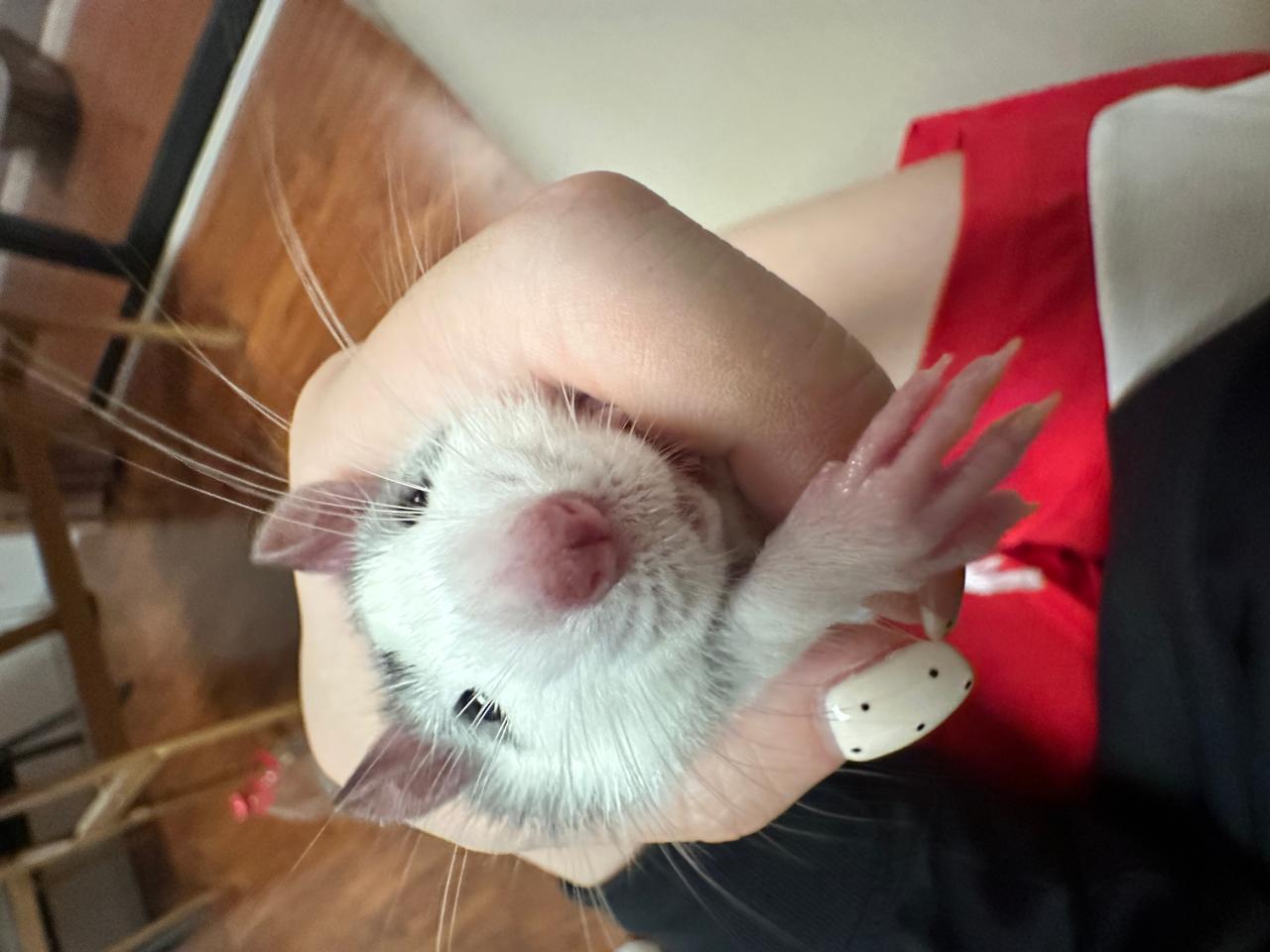 #
