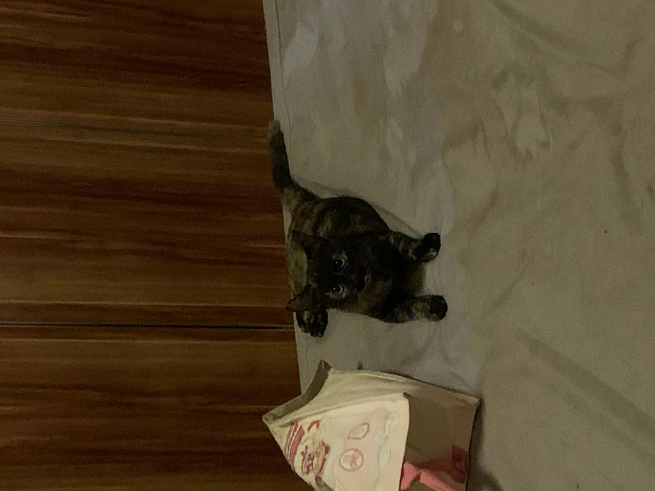 #