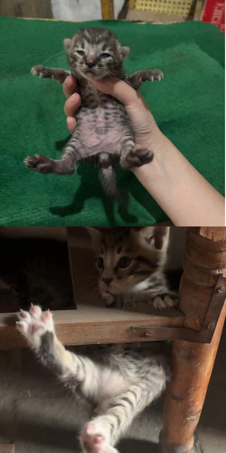 #