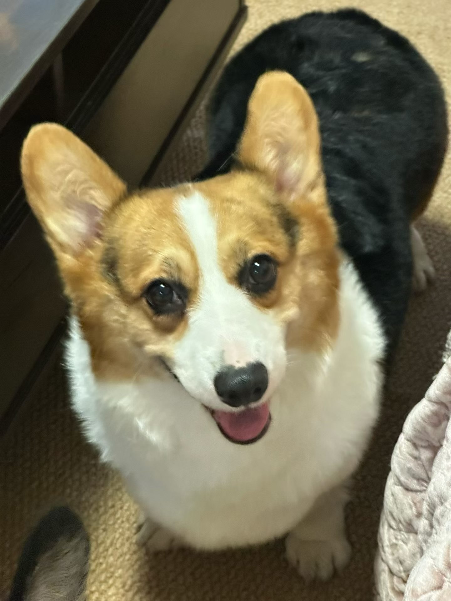 #