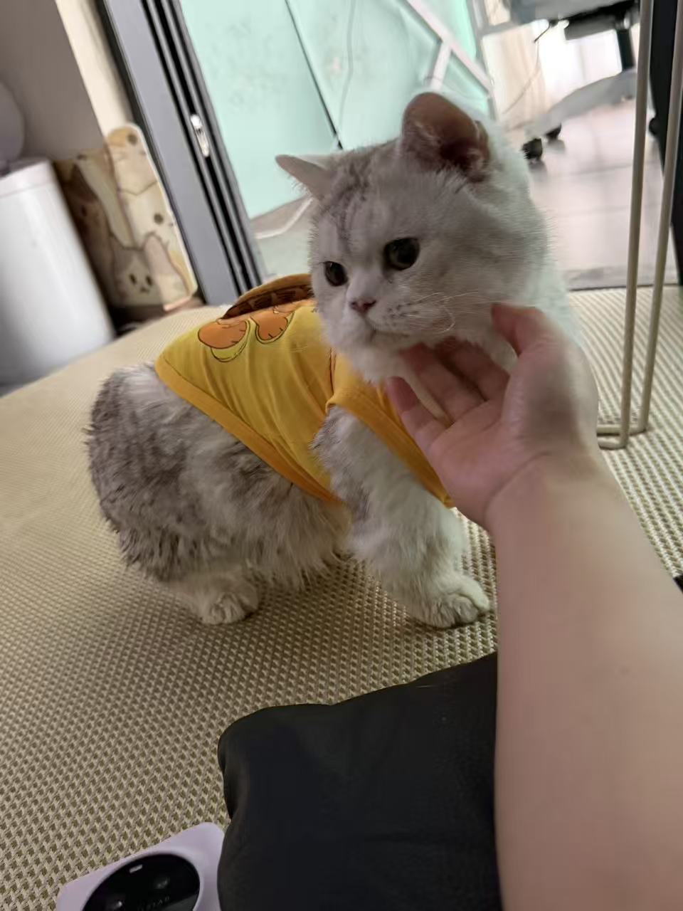 #