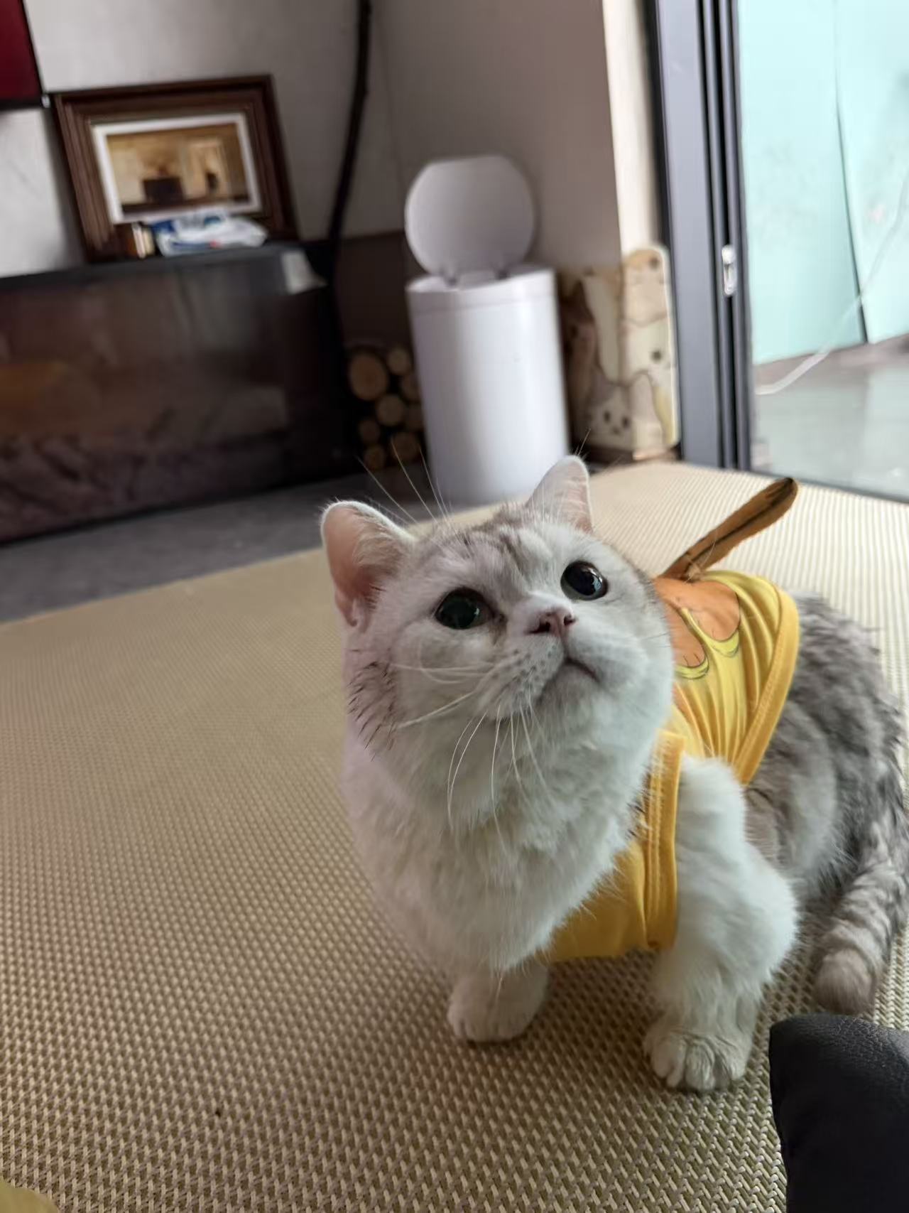 #