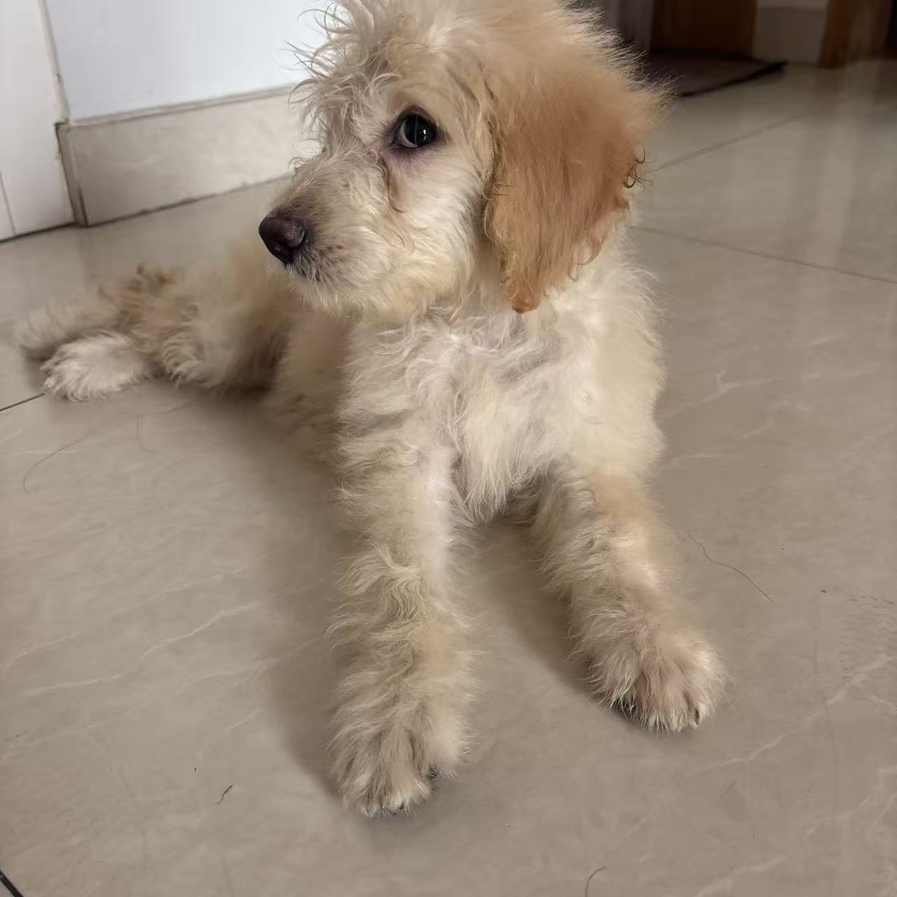 #