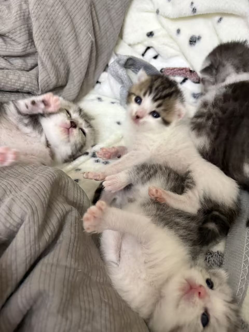 #