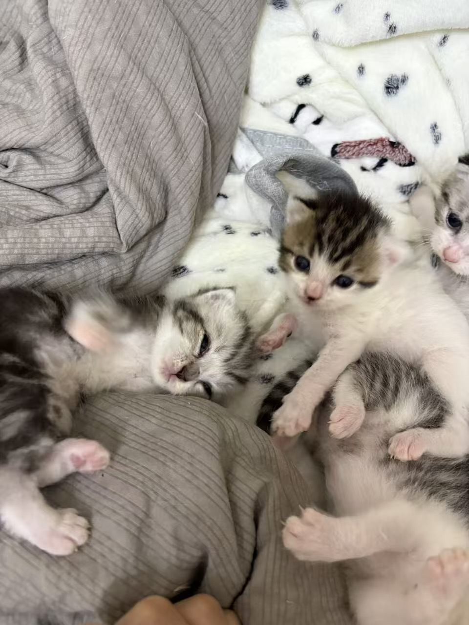 #