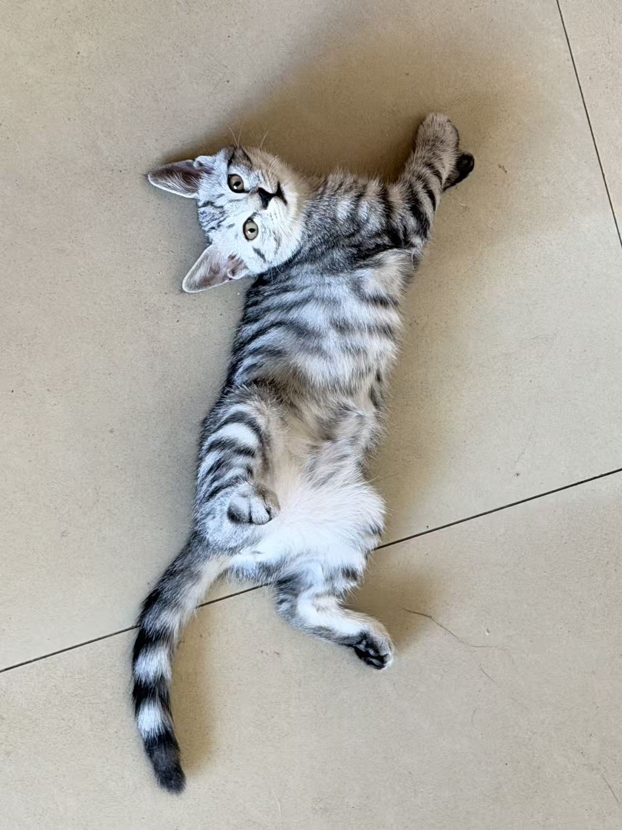 #