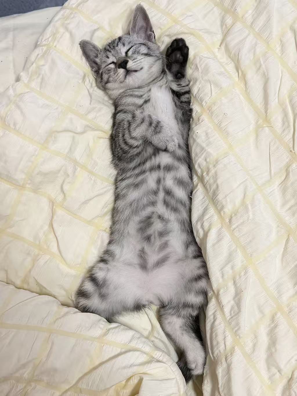 #
