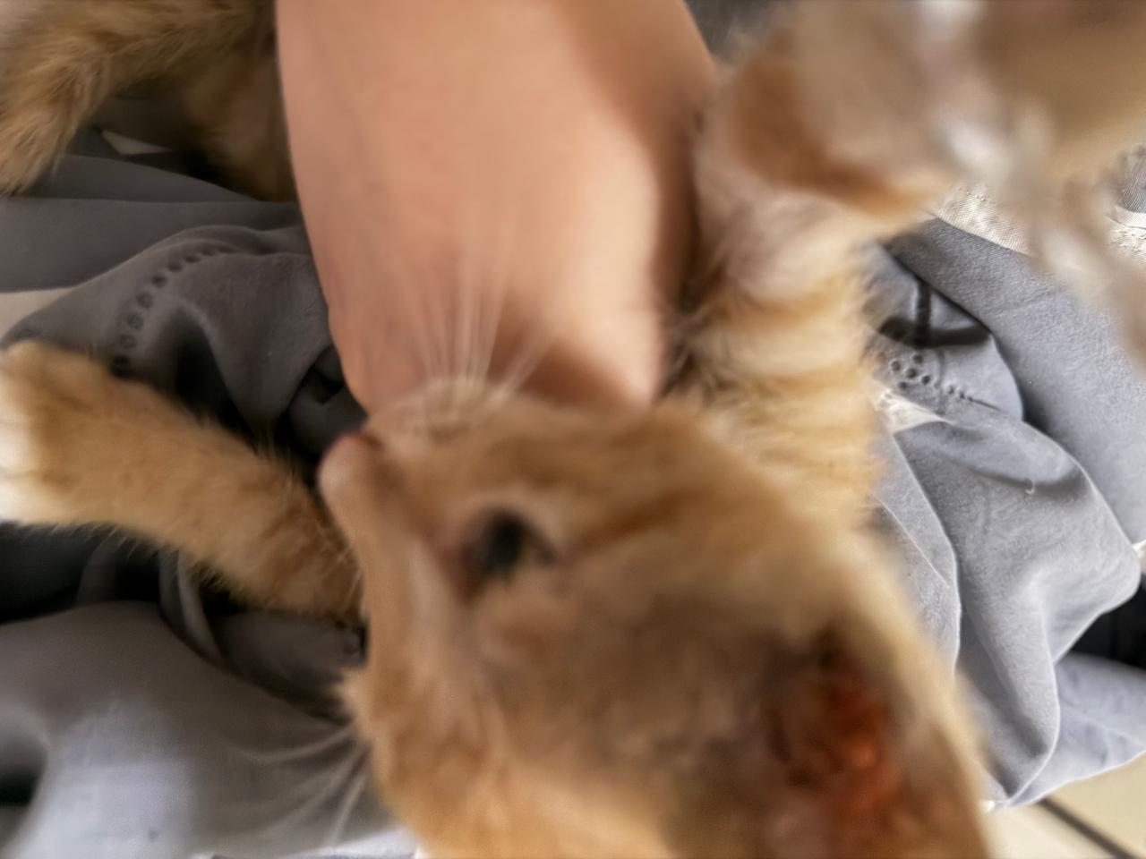 #