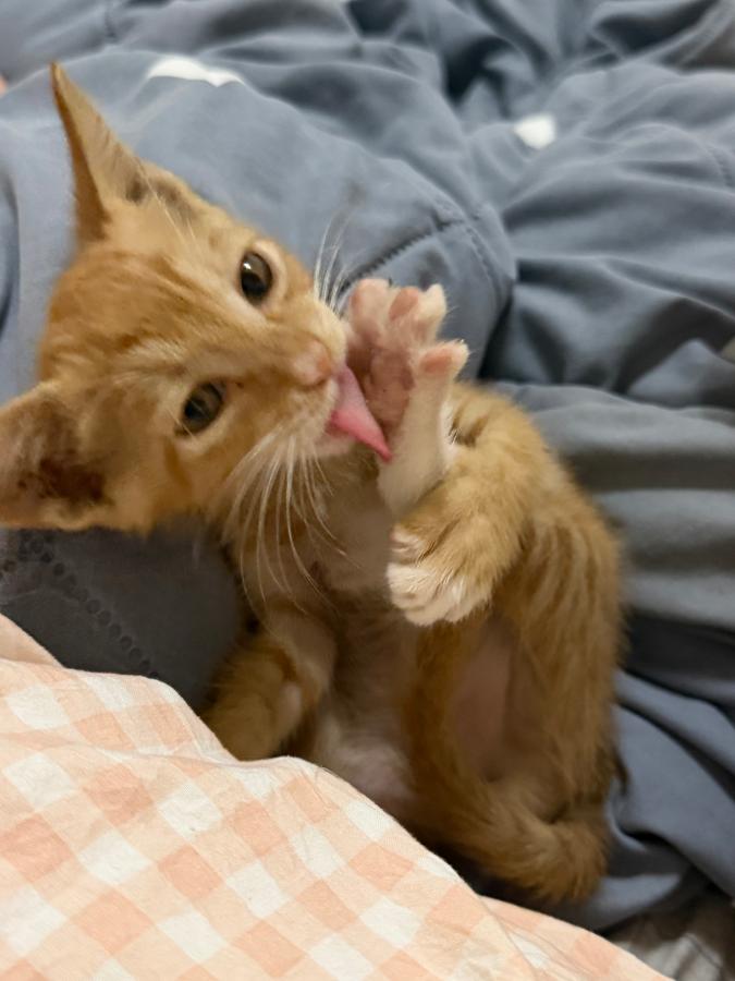 #