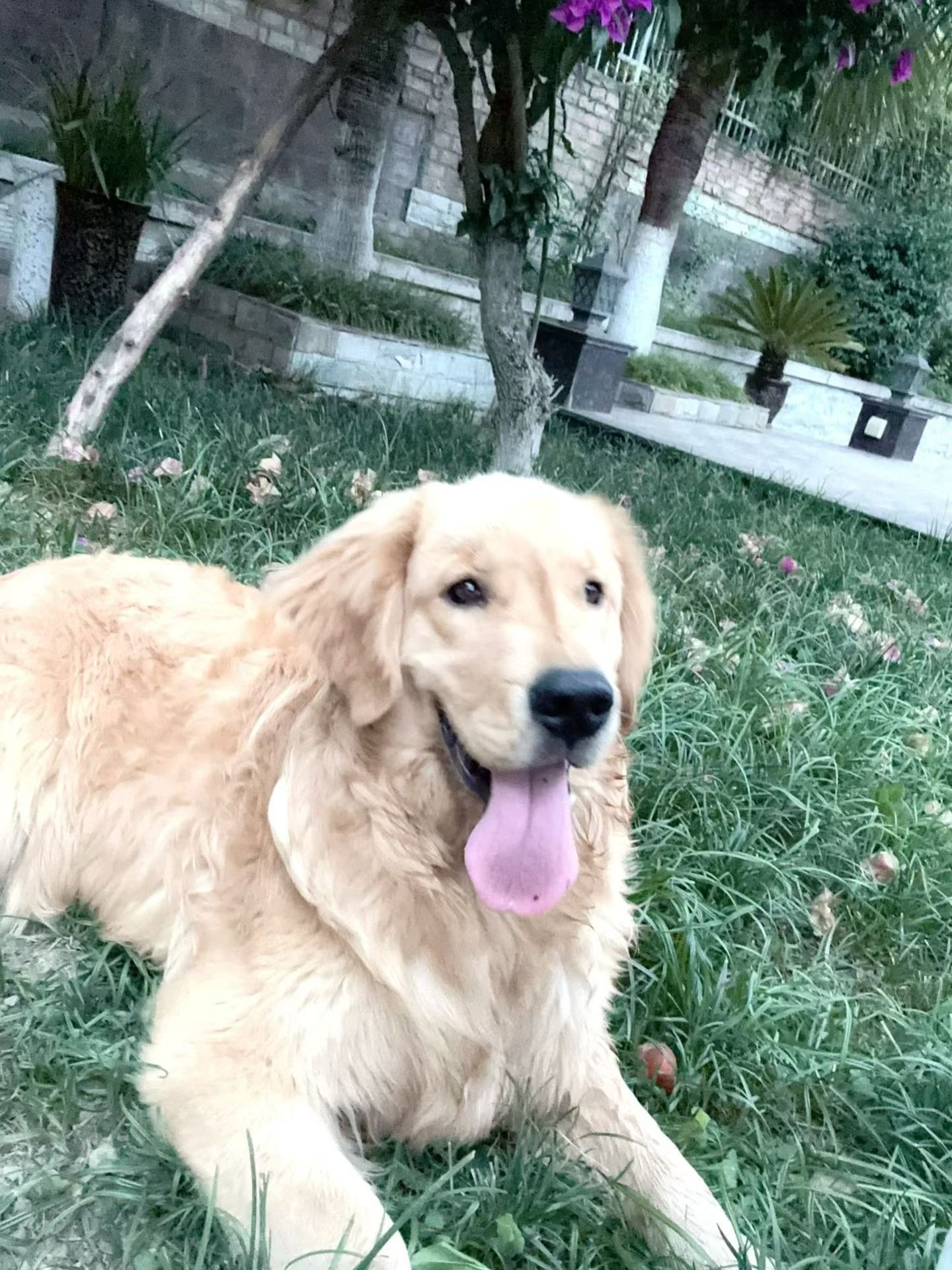 #