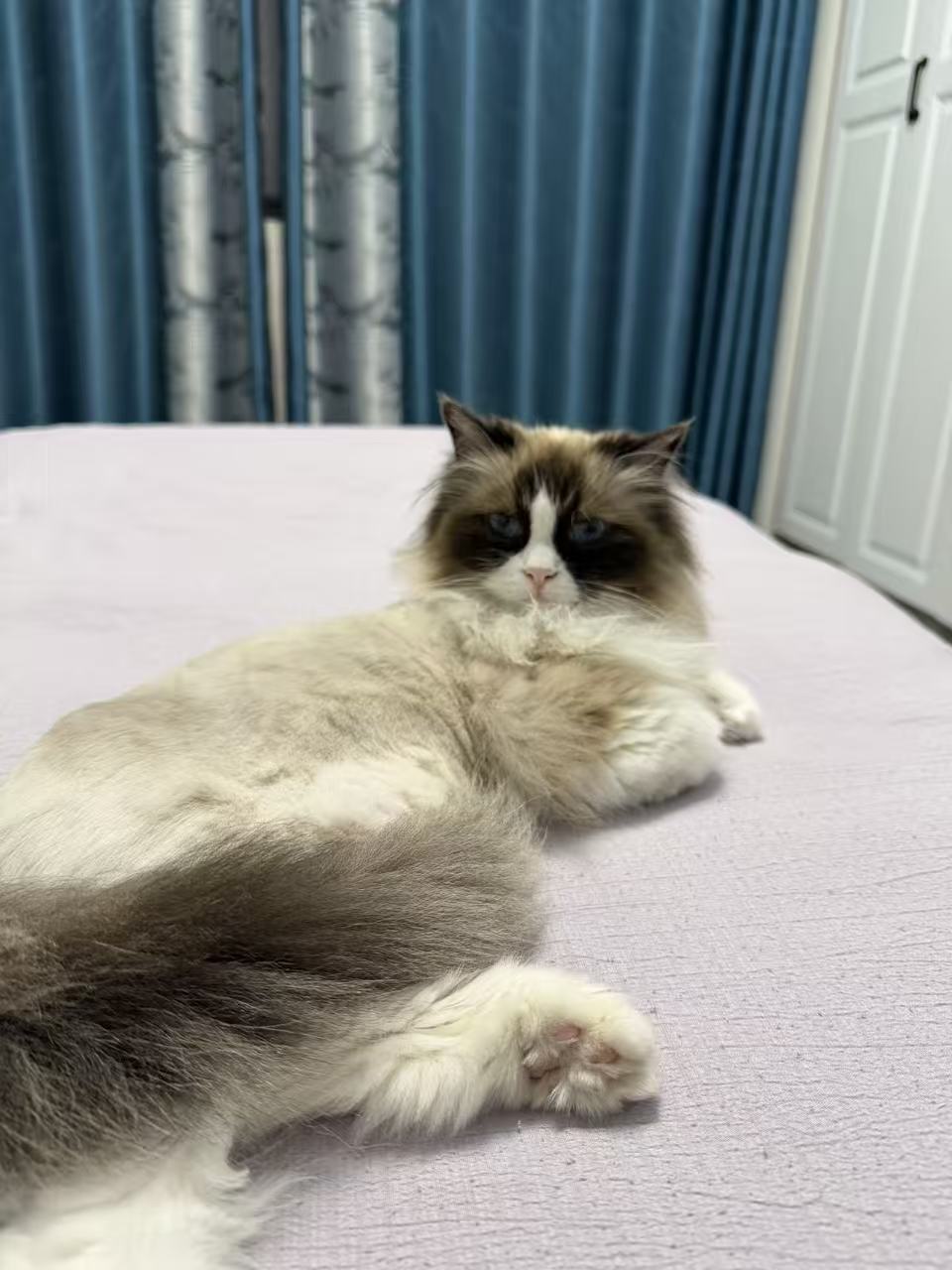 #