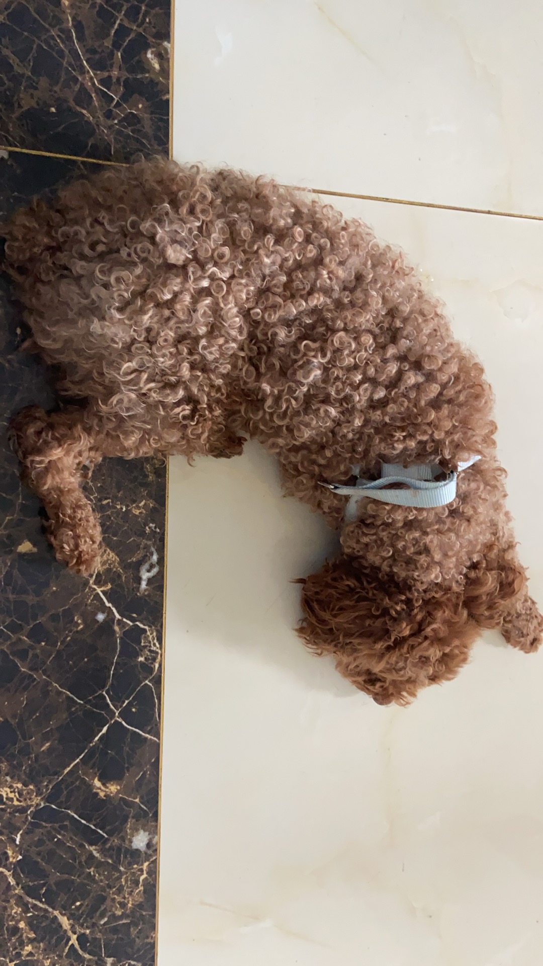 #