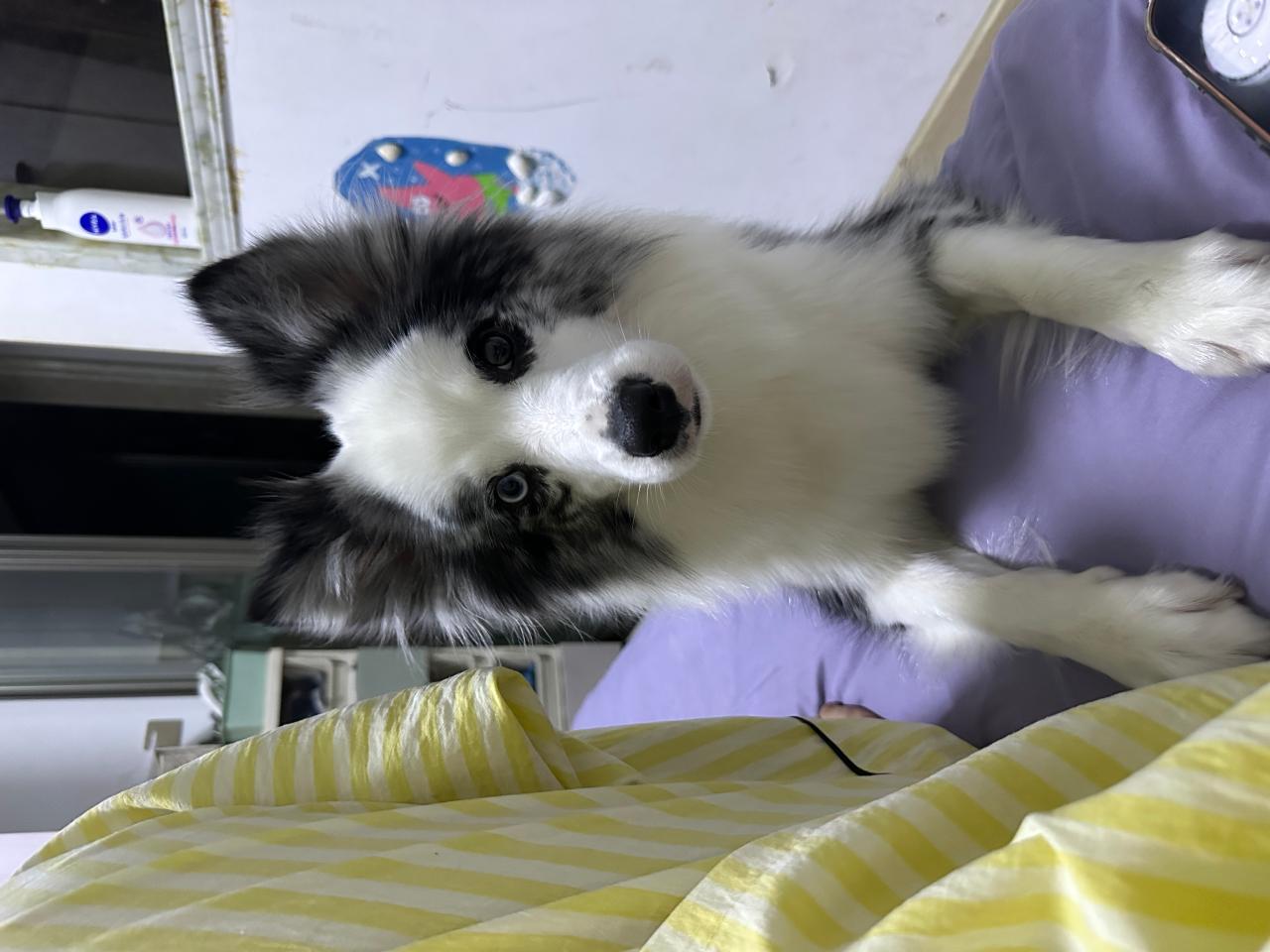 #