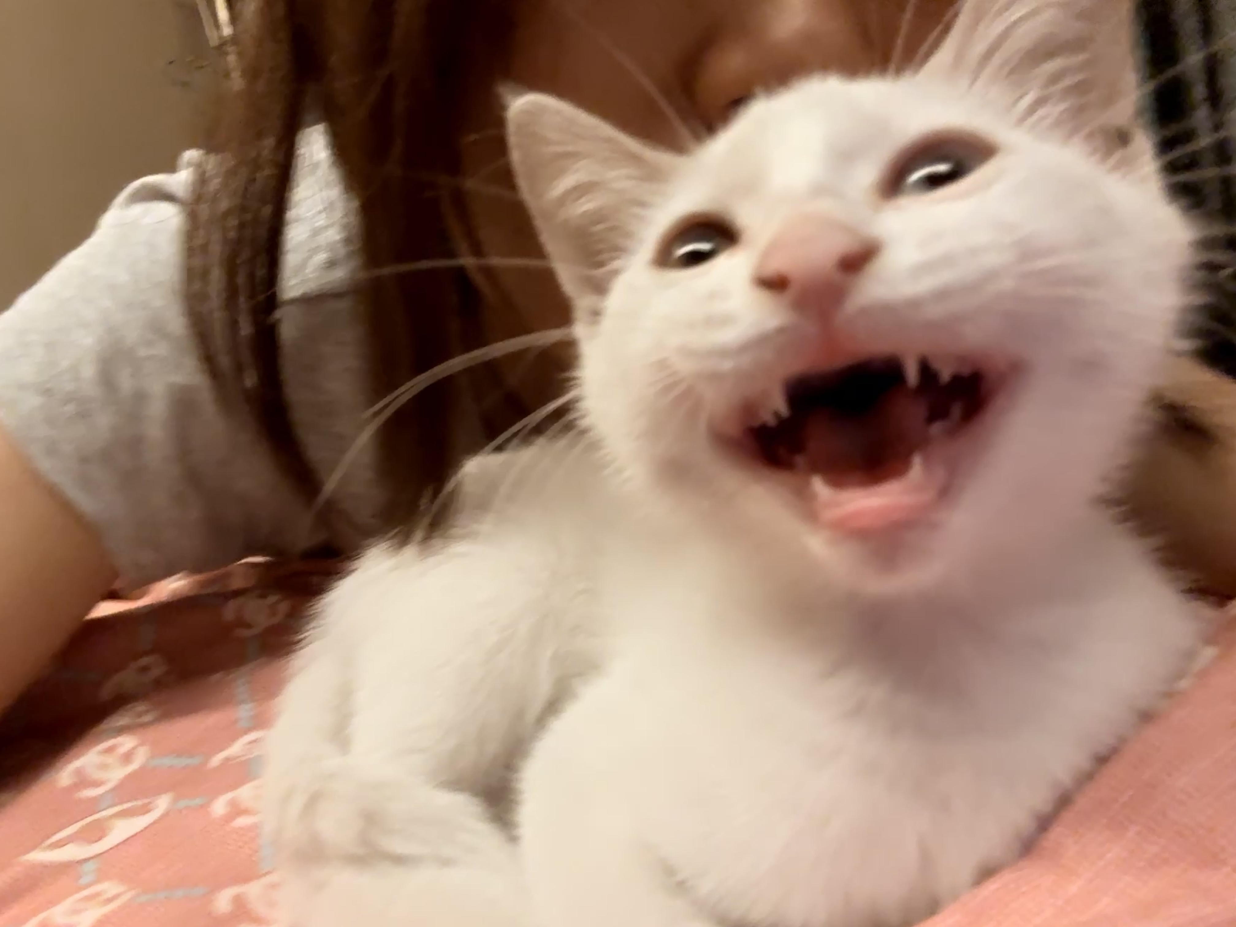 #