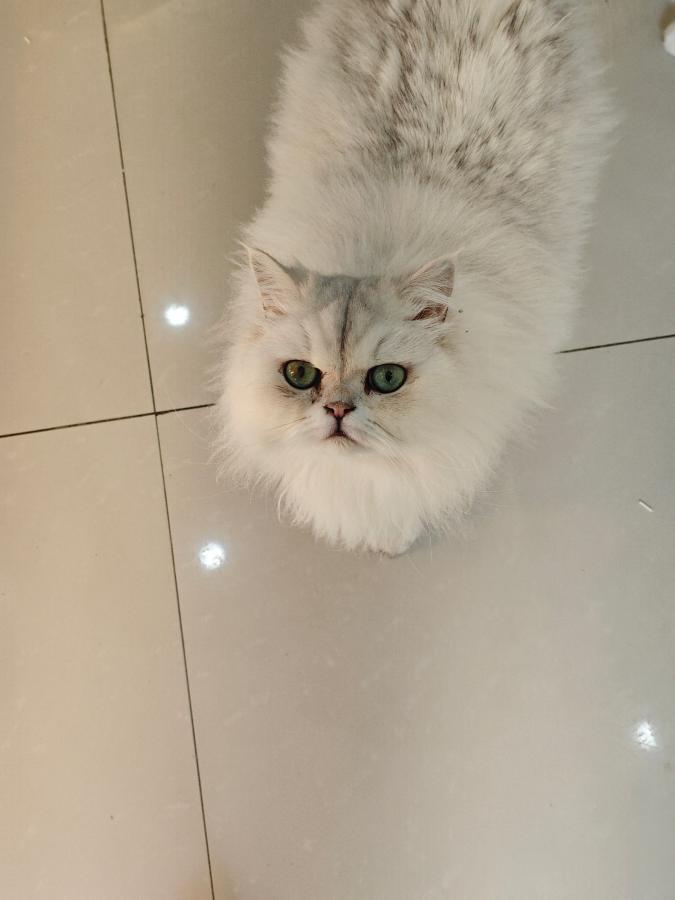 #