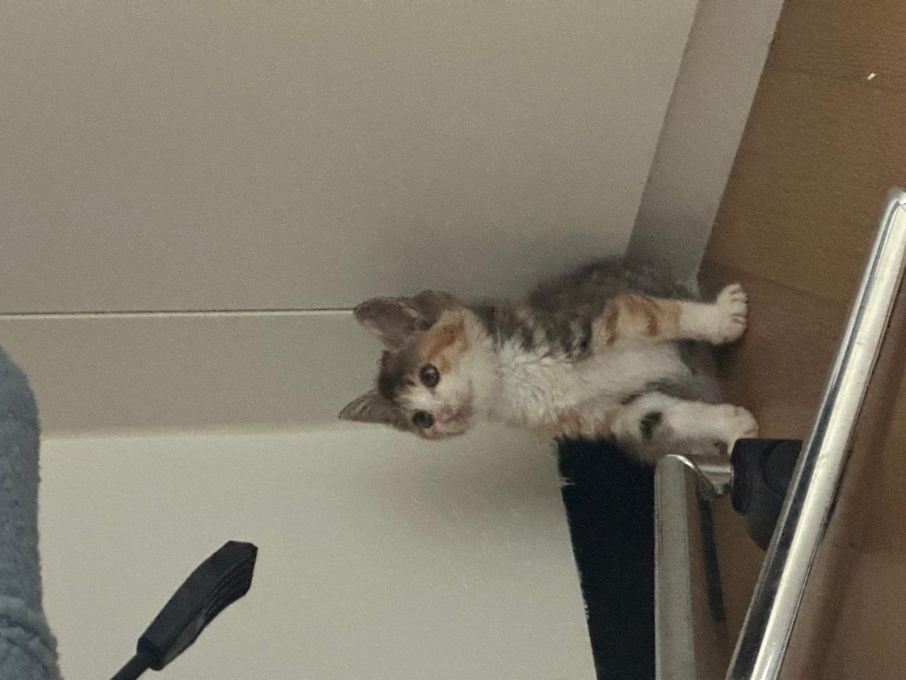 #