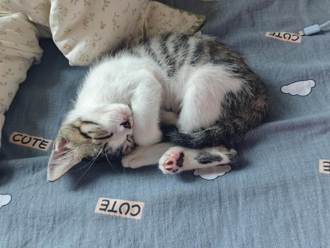 #