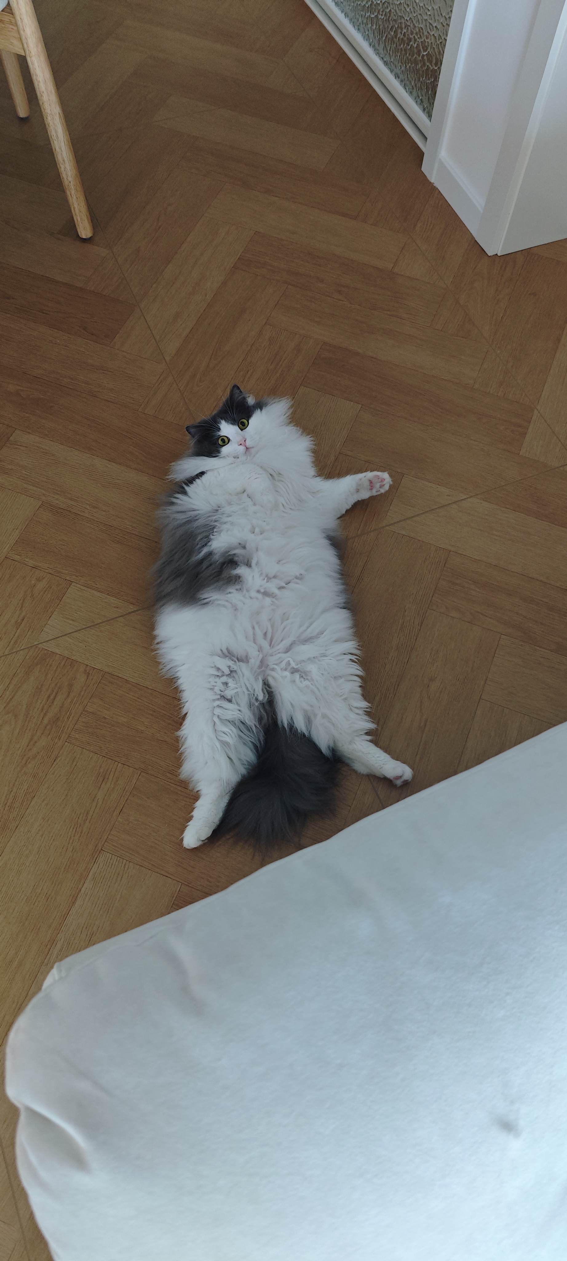 #