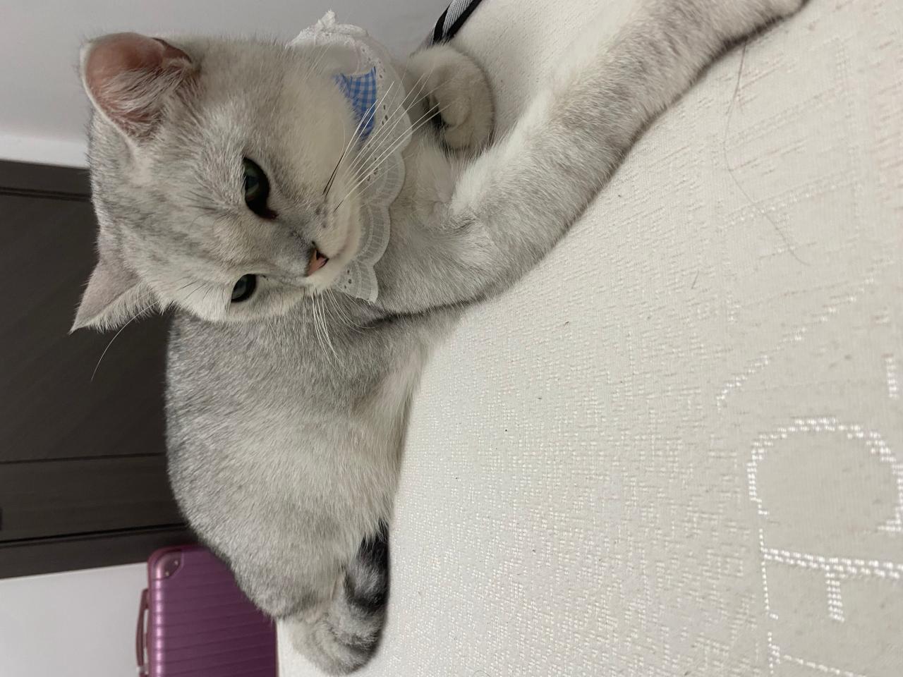 #