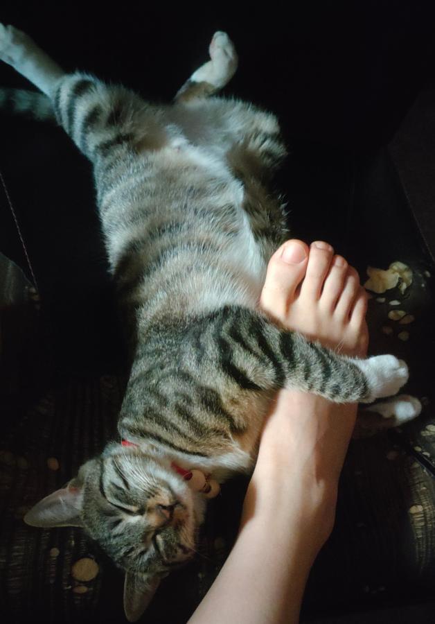 #