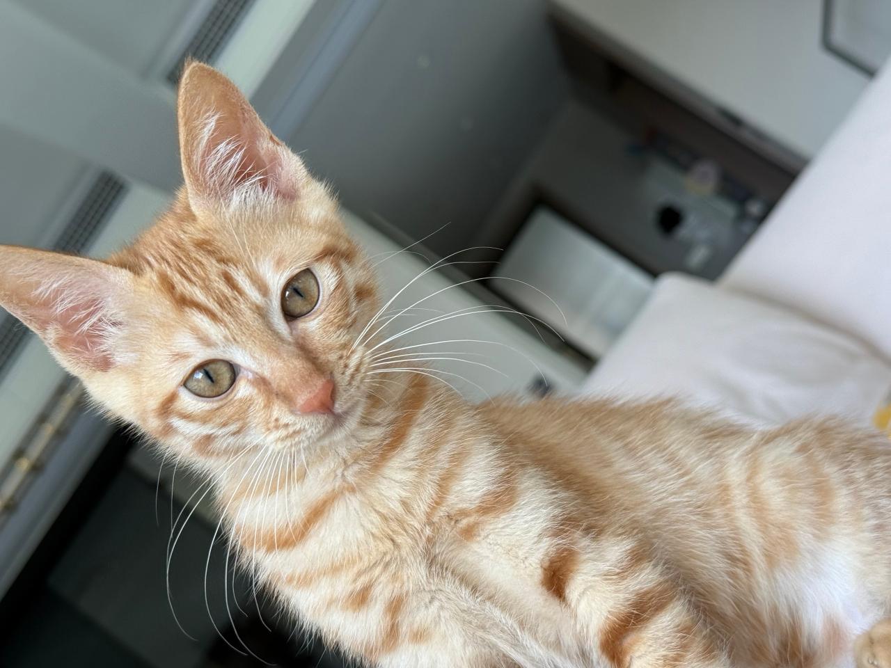 #