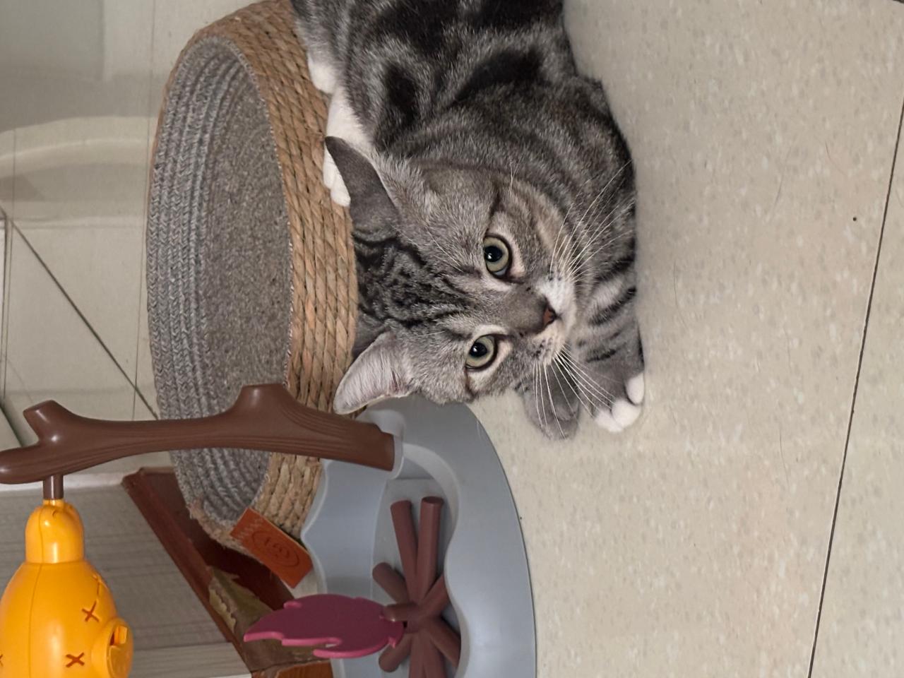 #