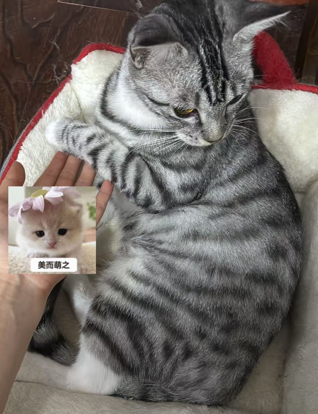 #