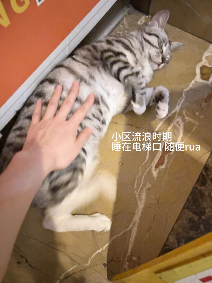 #
