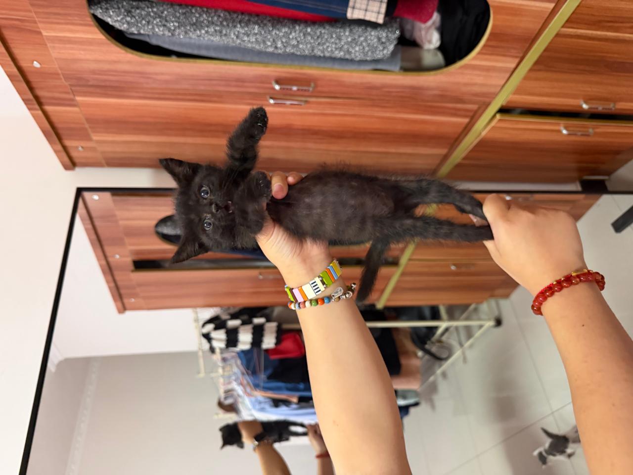 #