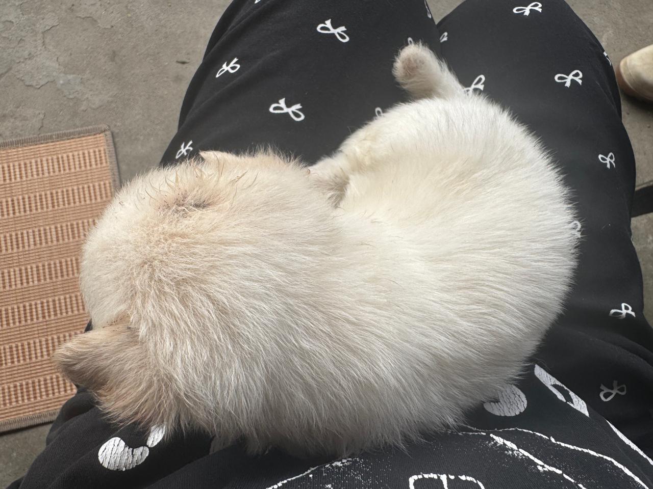 #