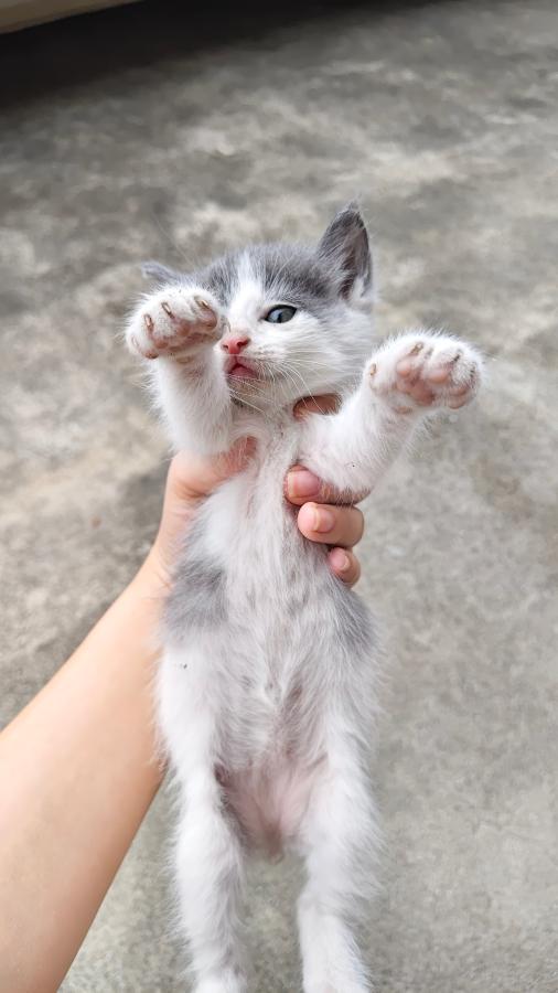 #