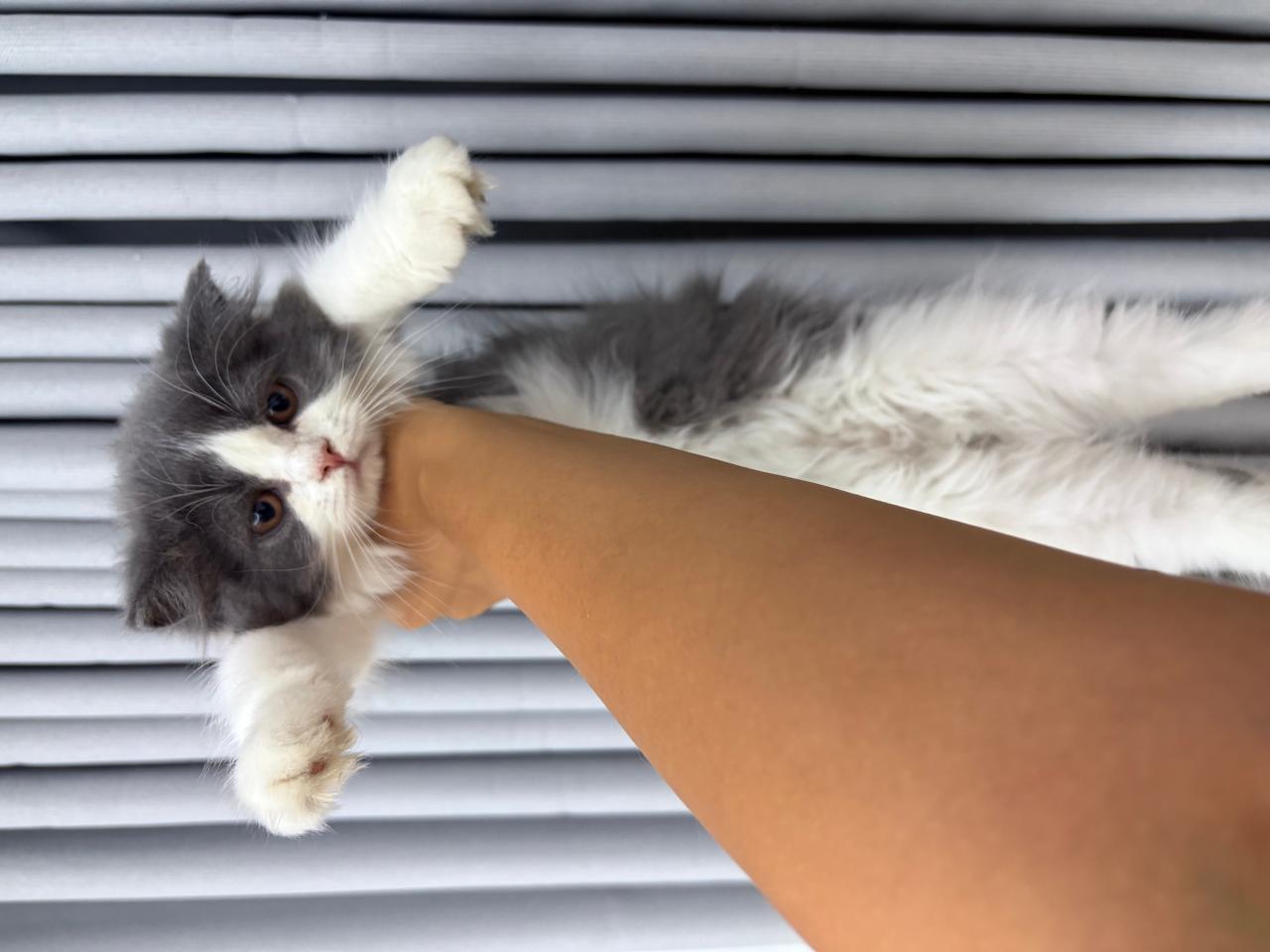 #