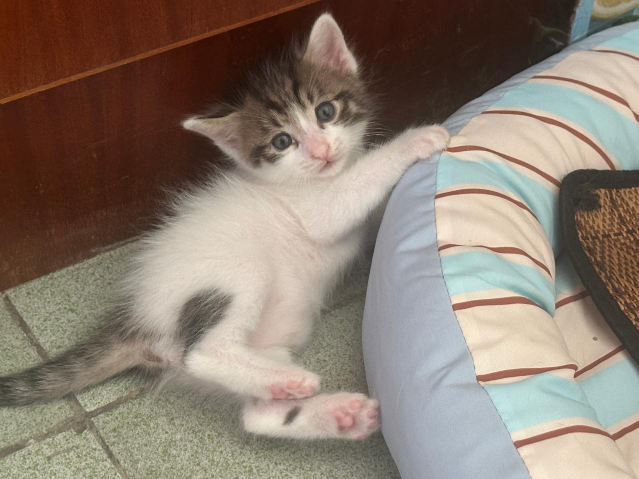 #