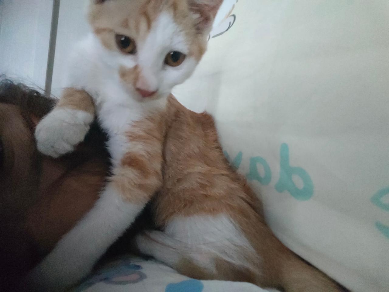 #
