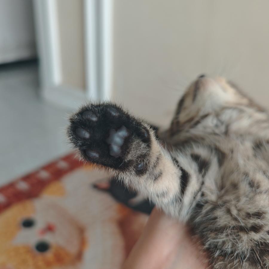 #