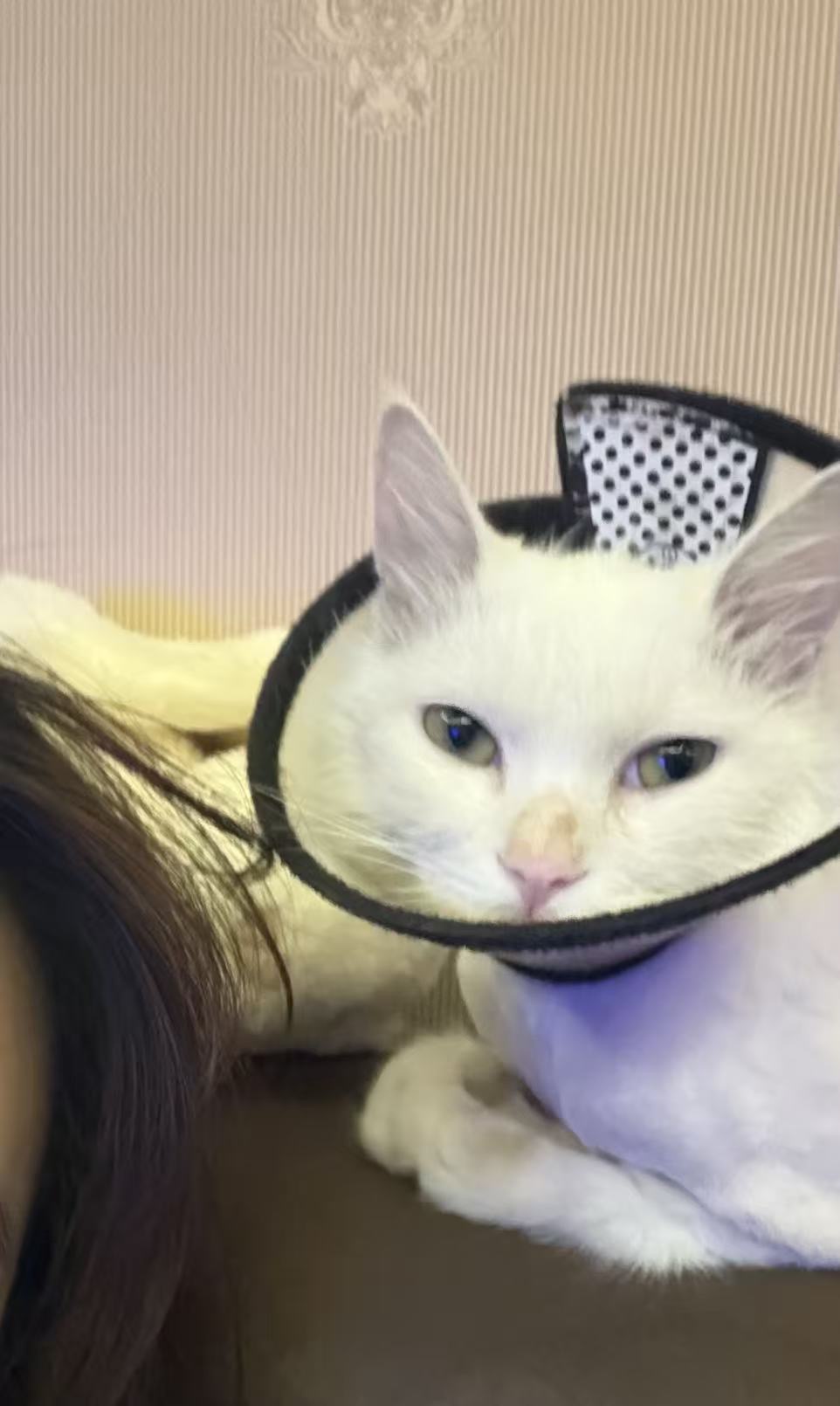 #