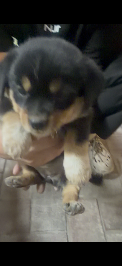 #