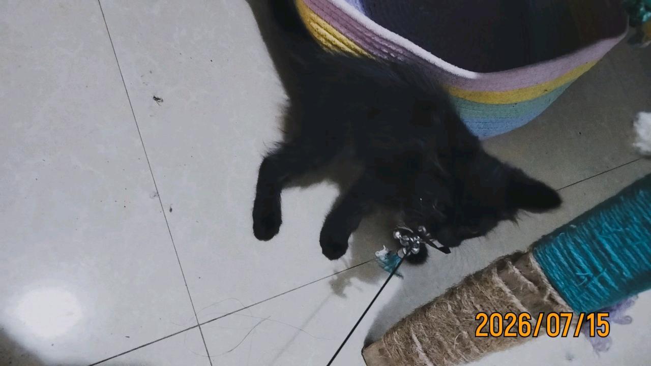 #