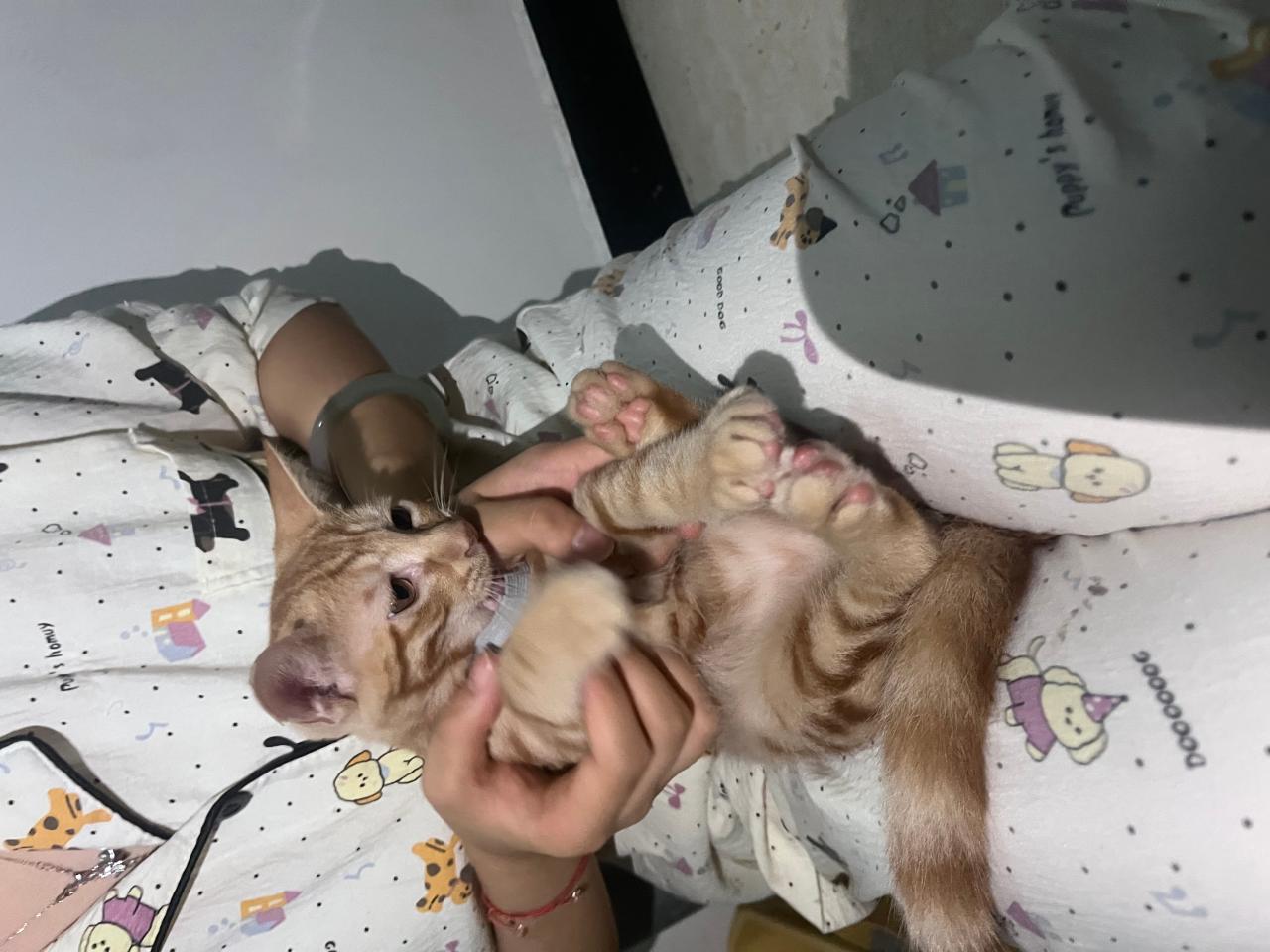 #