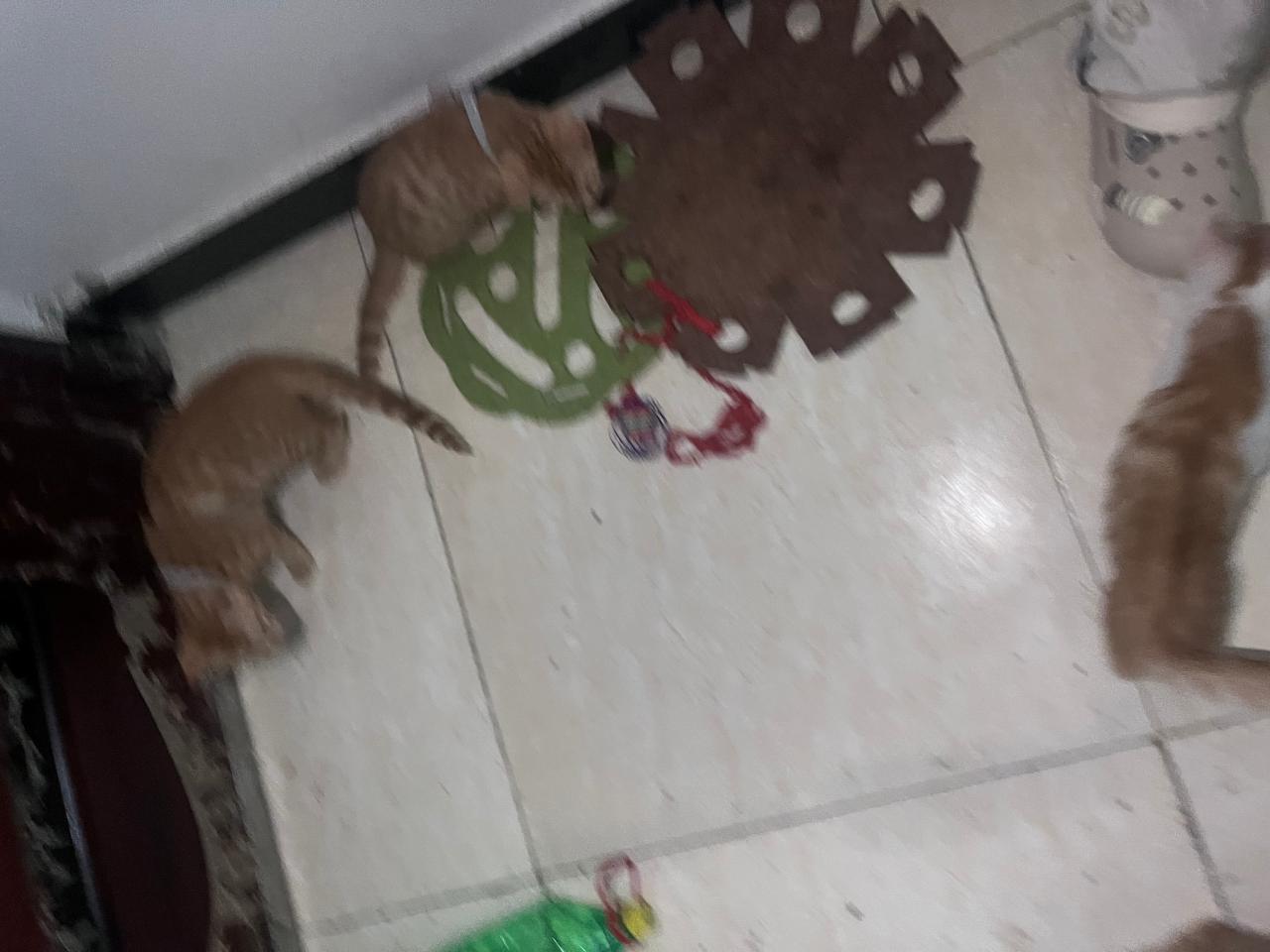 #