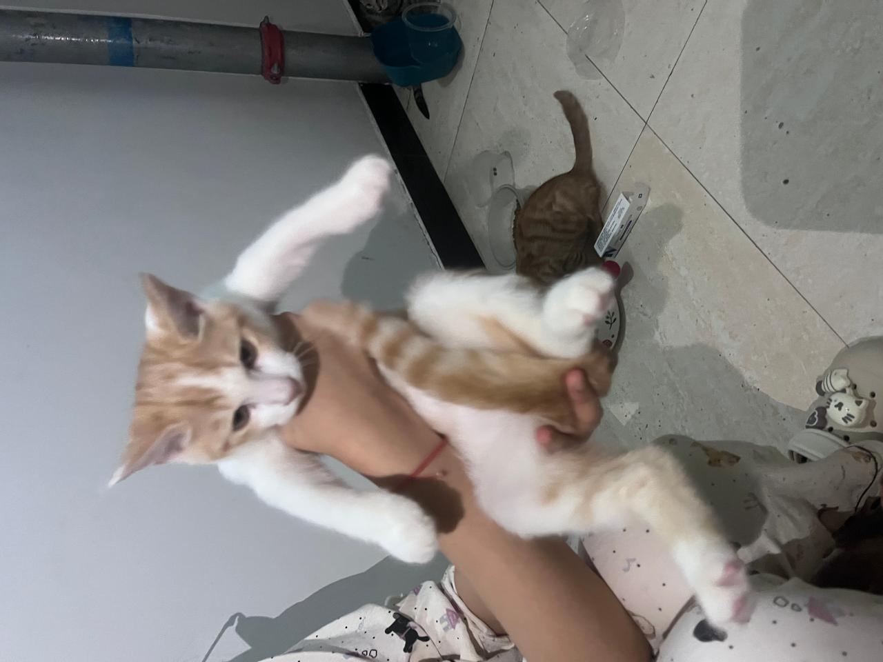 #
