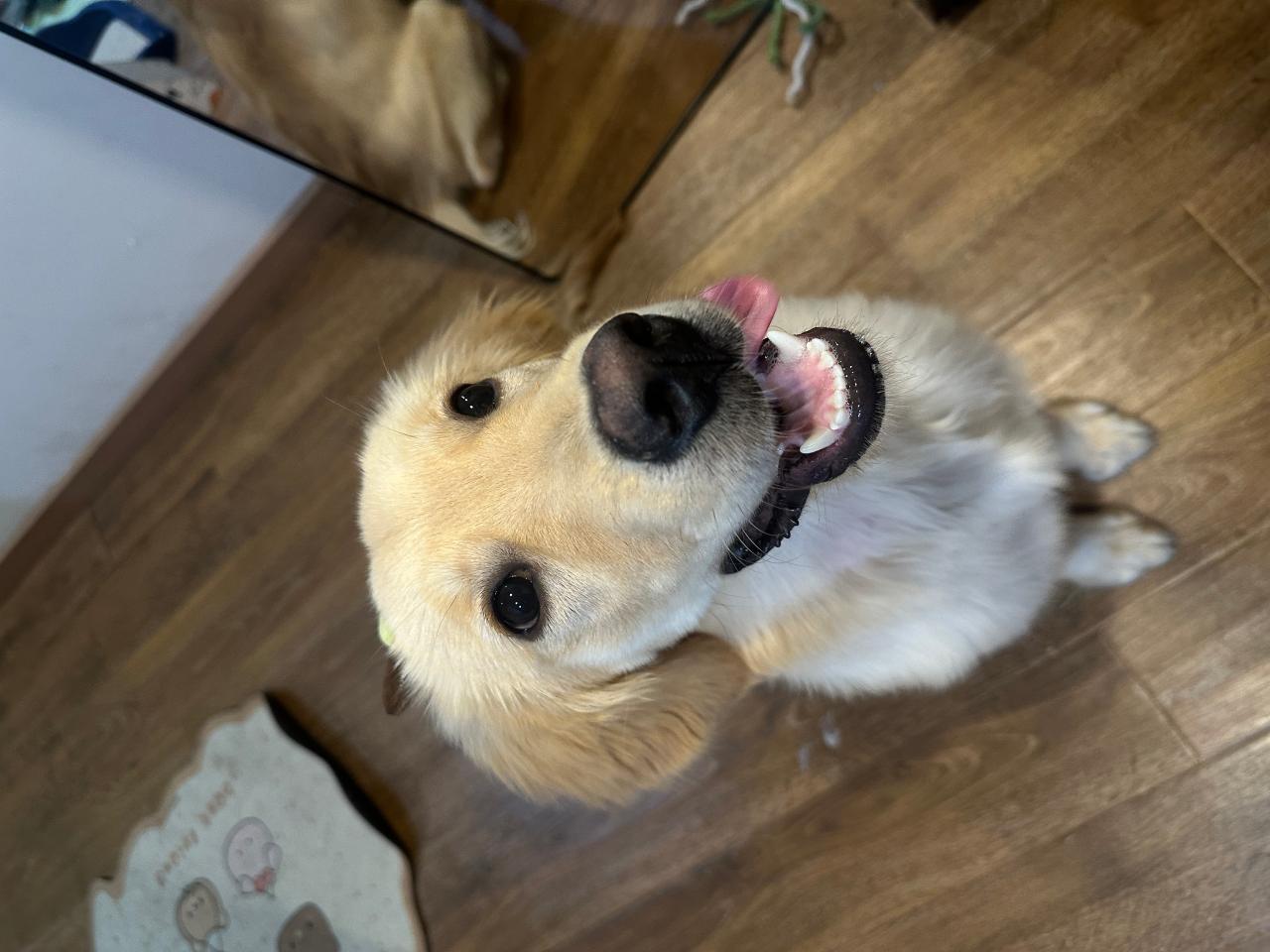 #