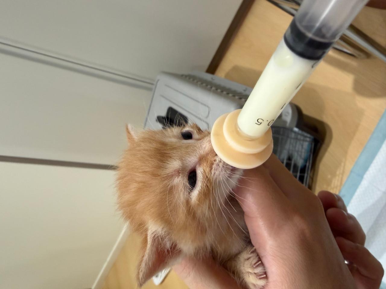 #