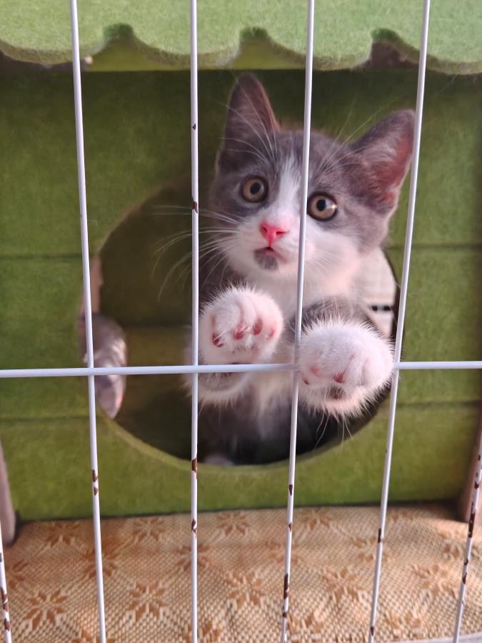 #