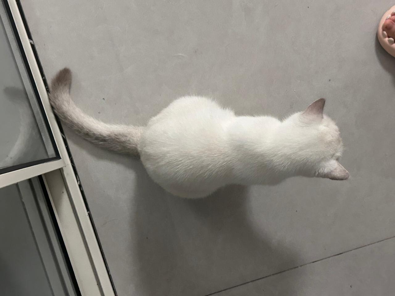 #