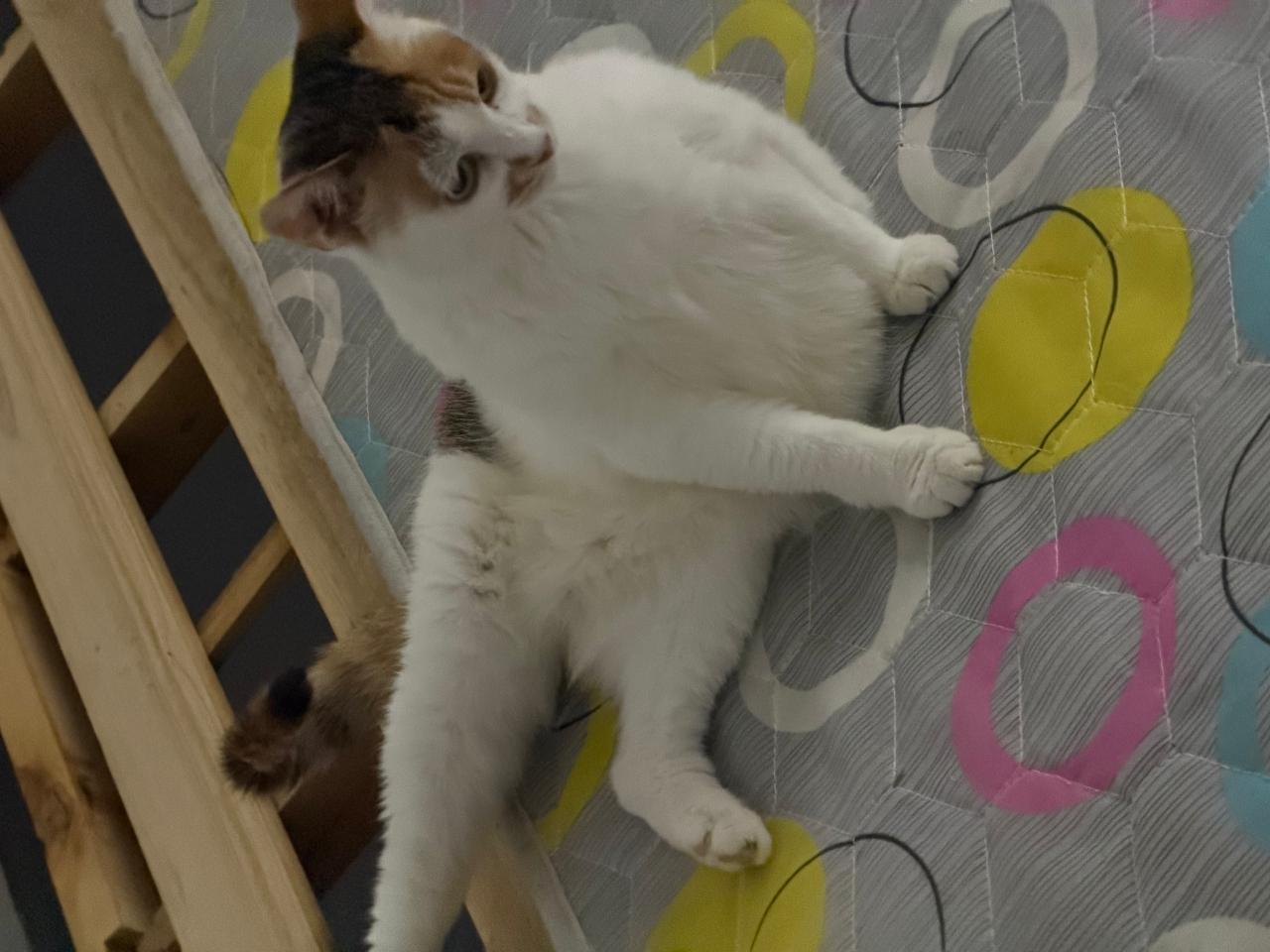 #
