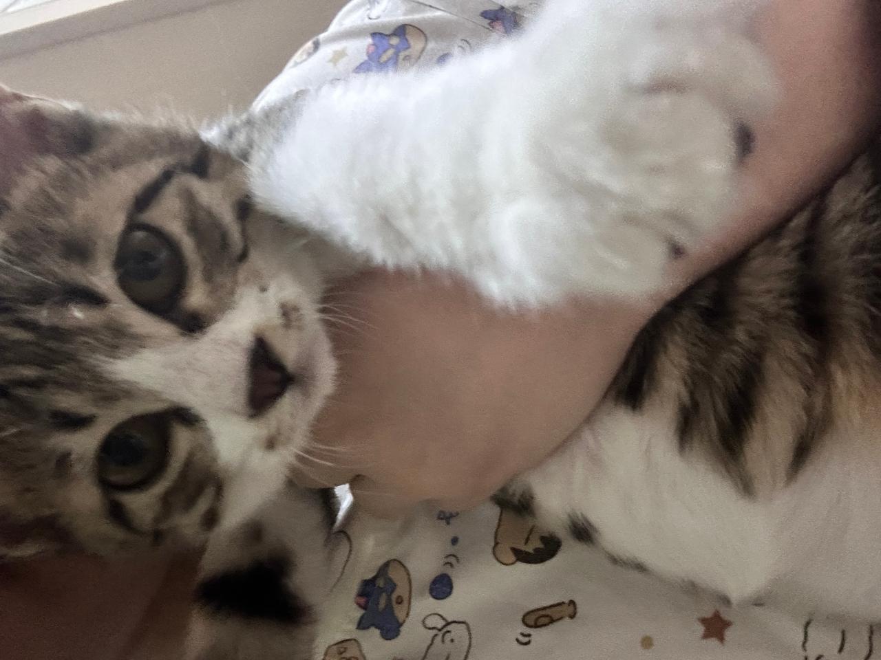 #