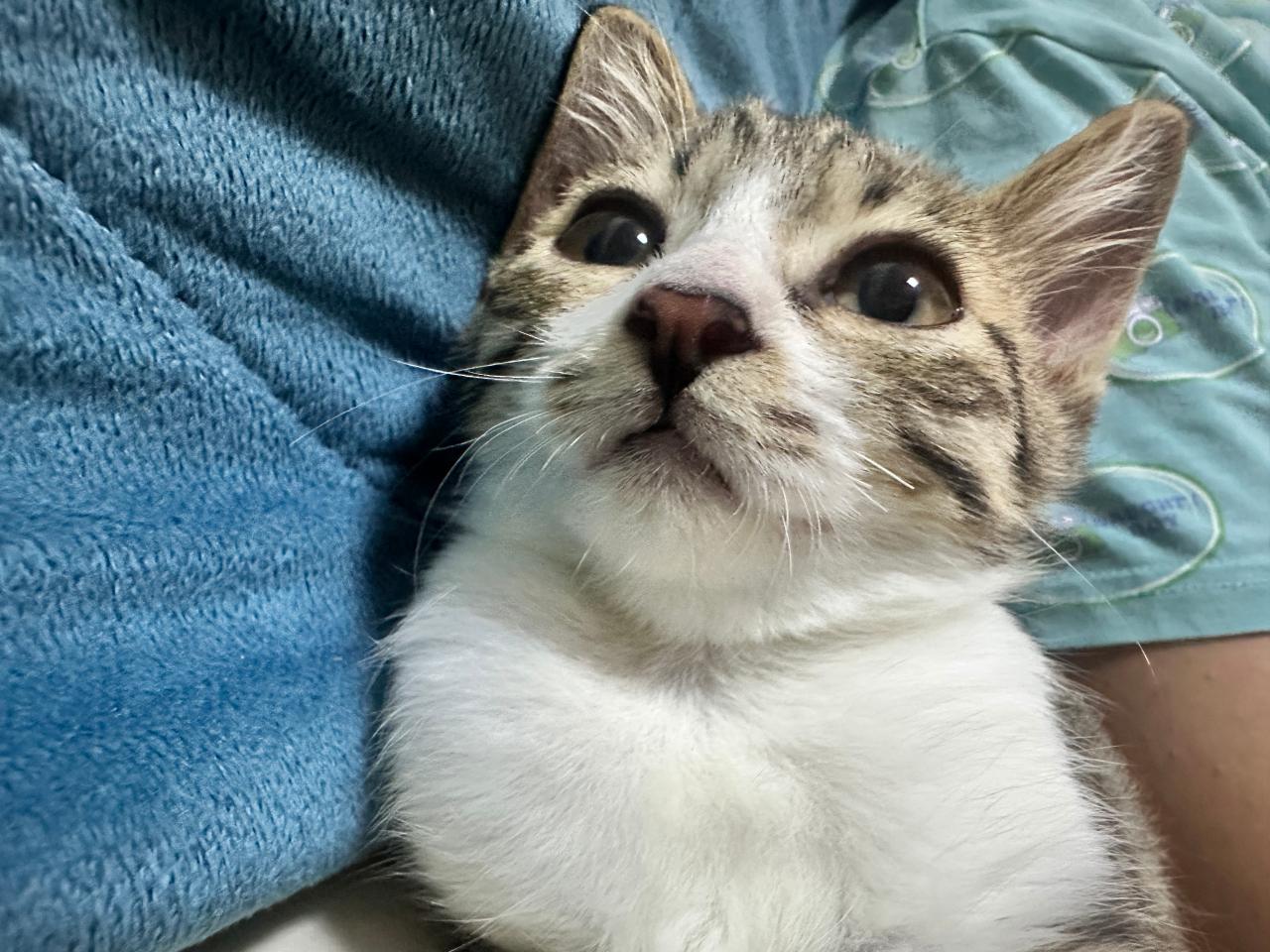 #