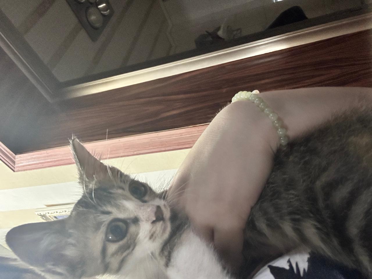 #